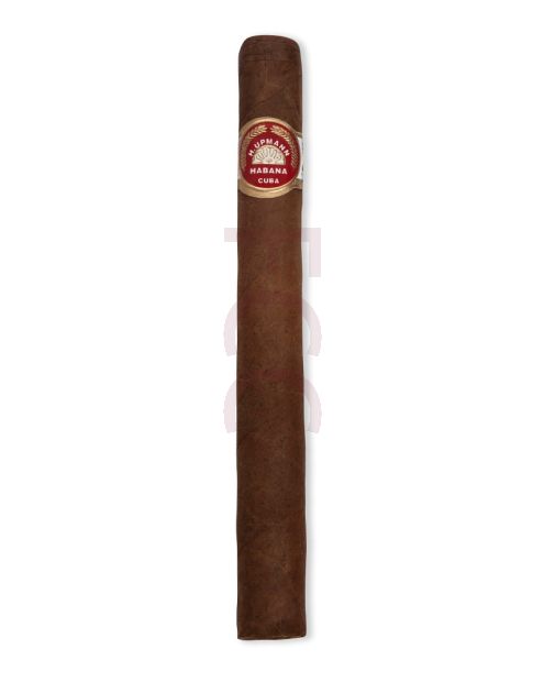 H. UPMANN MAJESTIC